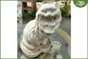 Gatto Persiano 139,00€